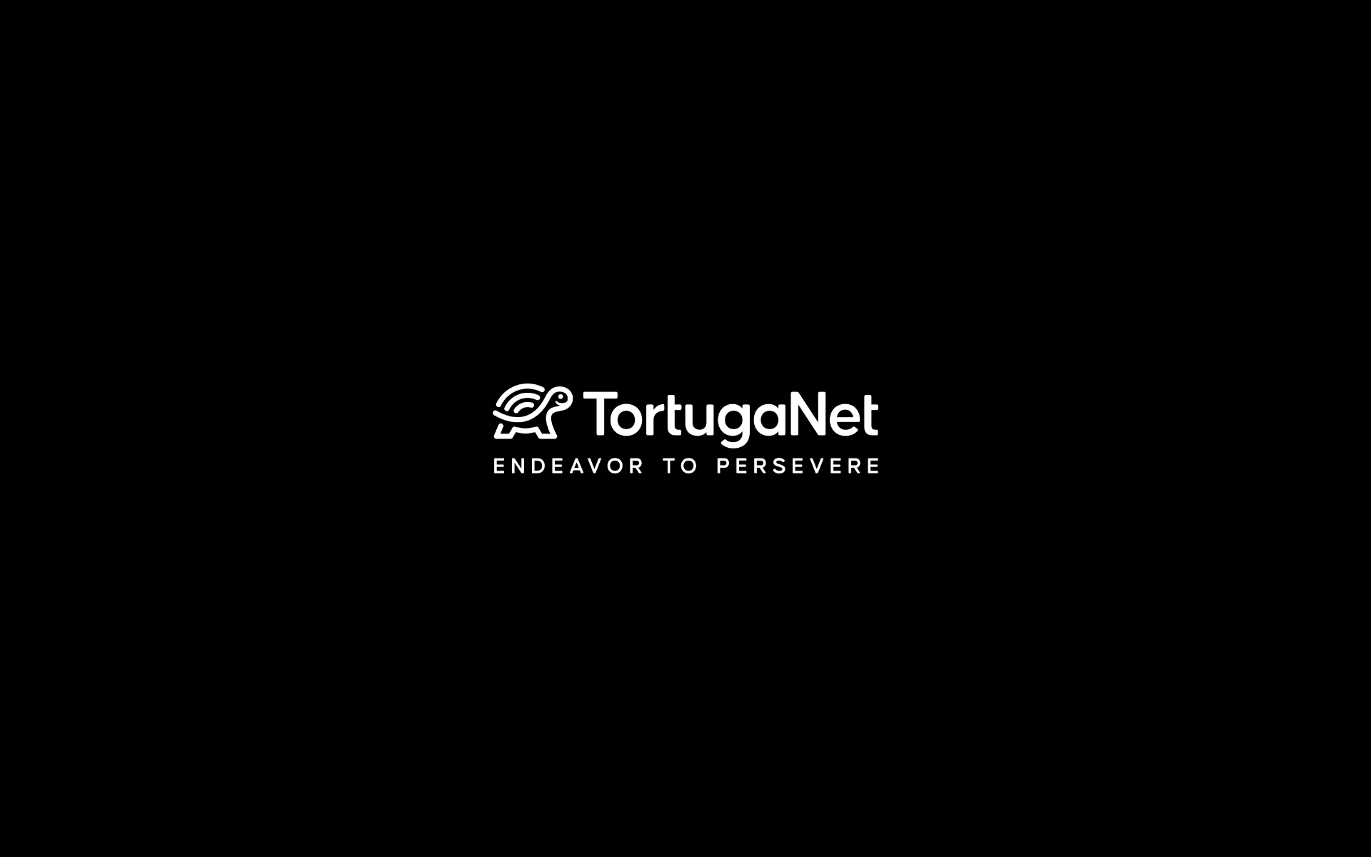 TortugaNet case study - Nostr Over a Mesh That Does Not Need the Internet | Decentralized Networking MVP Development